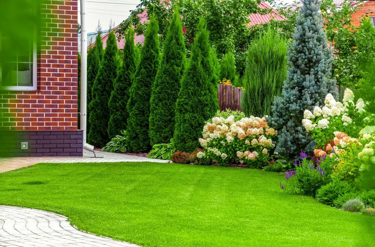 Professional landscaping team